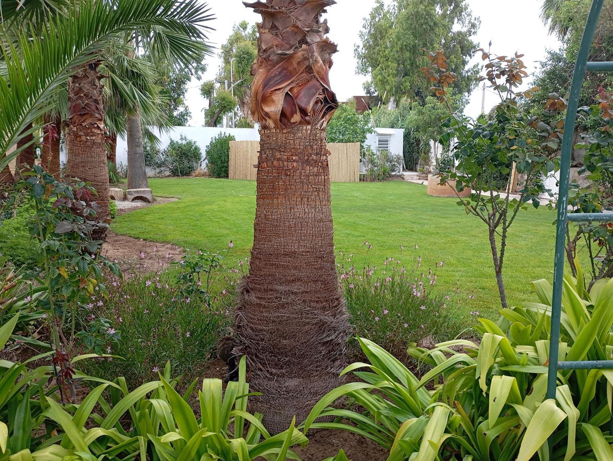 Вилла Au Bout Du Jardin Карфаген Экстерьер фото